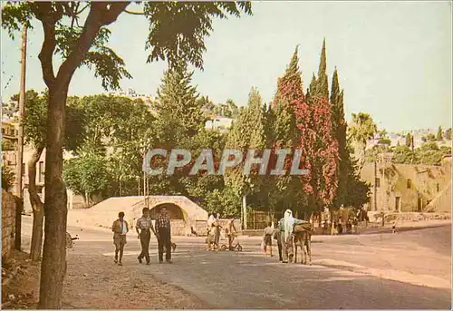 Moderne Karte Nazareth Mary's Well