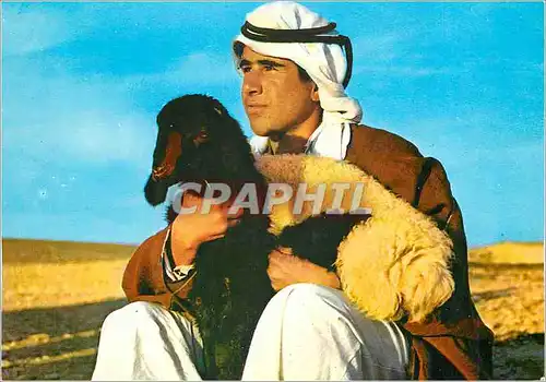 Cartes postales moderne Berger tenant un de ses moutons