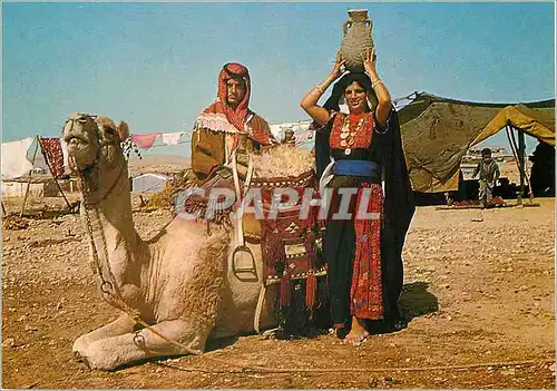 Cartes postales moderne Beduin Near their tent