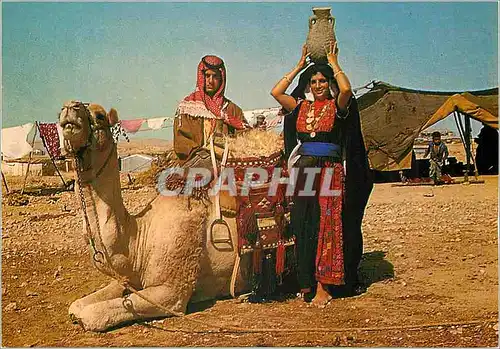 Cartes postales moderne Des Bedouins aupres de leur tente