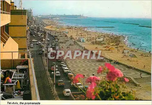 Cartes postales moderne Tel Aviv The Promenade