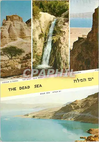 Cartes postales moderne Israel The Dead Sea