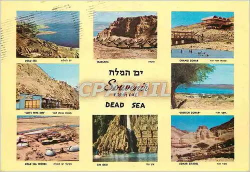 Cartes postales moderne Israel Dead Sea