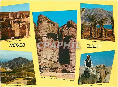 Cartes postales moderne Israel Negeb