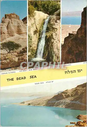 Cartes postales moderne Israel The Dead Sea