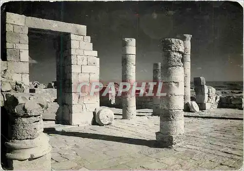 Cartes postales moderne Ruins of Avdat Southern Negev