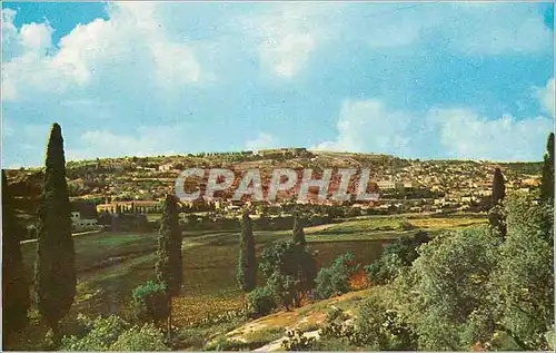 Cartes postales moderne Nazareth Partial View