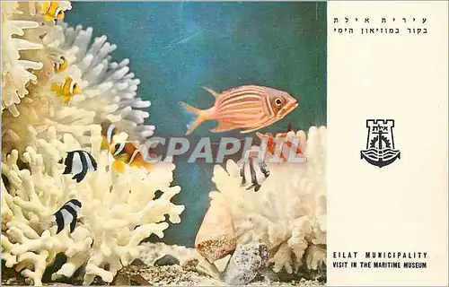 Cartes postales moderne Eilat Municipality visit in the Maritime Museum