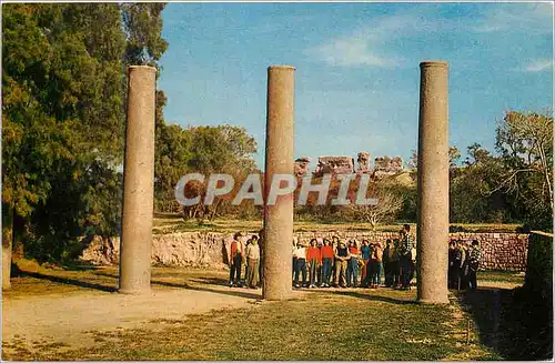 Moderne Karte Ashkelon Columns of Herod With view to Jerusalem Gate