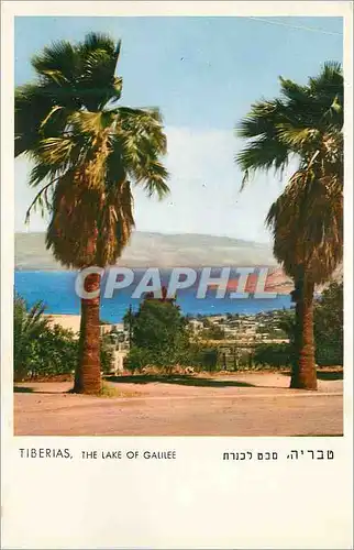 Moderne Karte Tiberias The Lake of Galilee