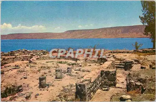 Cartes postales moderne Remnante of Byzantine Church at Beth Jebah Lake of Galilee