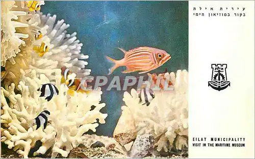 Cartes postales moderne Eilat Municipality visit in the Maritime Museum