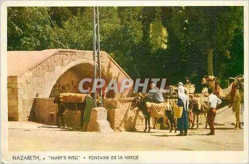 Cartes postales moderne Nazareth Mary's Well Fontaine de la Vierge Ane Donkey