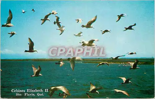 Cartes postales moderne Canada Quebec Cabines Elizabeth II