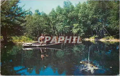 Cartes postales moderne Canada Quebec Peche