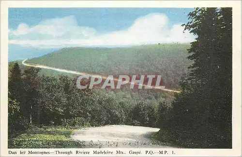Cartes postales moderne Canada Quebec Dan les Montagnes