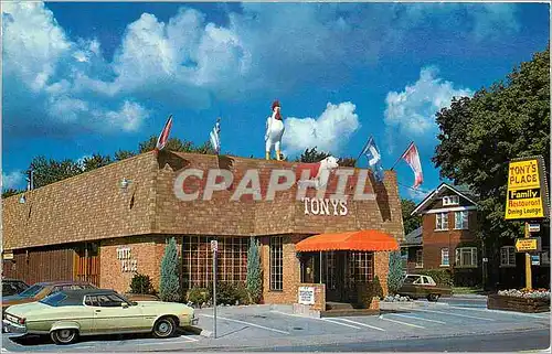 Cartes postales moderne Canada Ontario Niagara Falls Tony's place