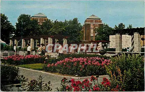 Cartes postales moderne Canada Montreal Jardin  Botanique