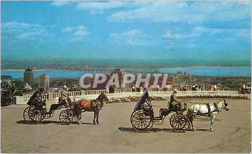 Cartes postales moderne Canada Montreal Des Caleches sur le Mont Royal