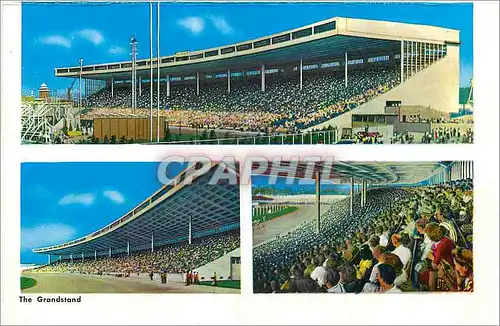 Cartes postales moderne Niagara The Grandstand The Pure Food Building