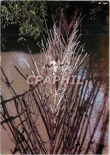 Cartes postales moderne Republique Centrafricaine Pont de laines sur le Mbali