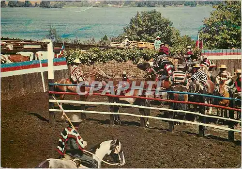 Cartes postales moderne Chile Rodeo Fiesta Chilena