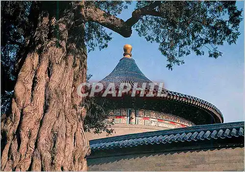 Cartes postales moderne China A Corner of Timton Park Temple of Heaven