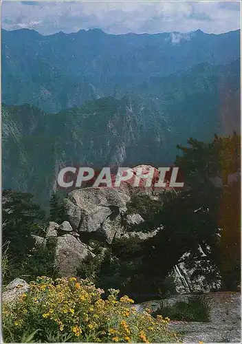 Cartes postales moderne China Huashan Mountain