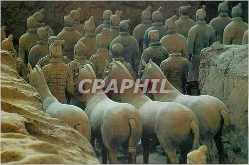 Cartes postales moderne China Terra-cotta horses and figures