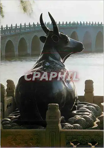 Cartes postales moderne China Bronze Cow The Summer Palace