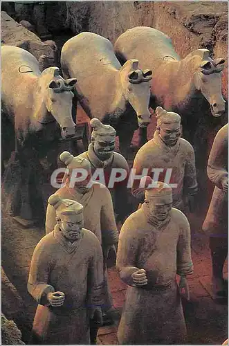 Cartes postales moderne China The Terracotta Warriors Xi'an