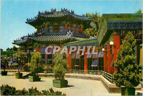 Cartes postales moderne China Tang Flower Village Chungshan Park