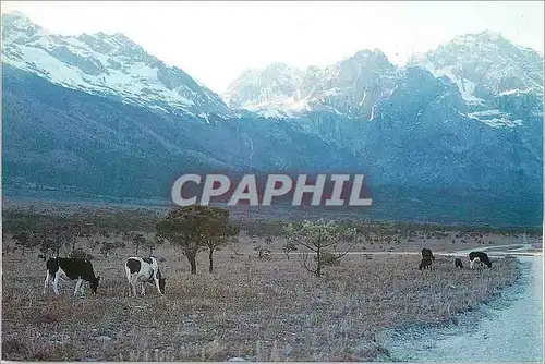 Cartes postales moderne China dry Sea