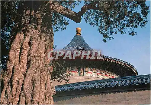 Cartes postales moderne China A Corner of Tiantan Park Temple of Heaven