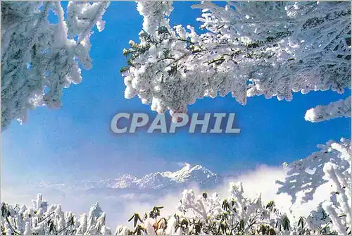 Cartes postales moderne China Snow Scene of Mt Erlang