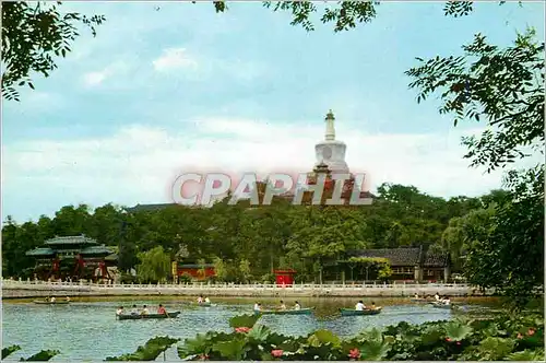 Cartes postales moderne Vue de Pekin Le Parc Peihai