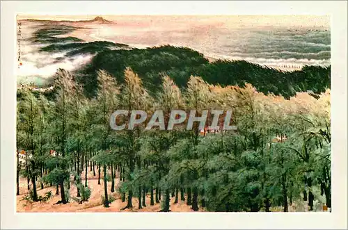 Cartes postales moderne China Wall of green