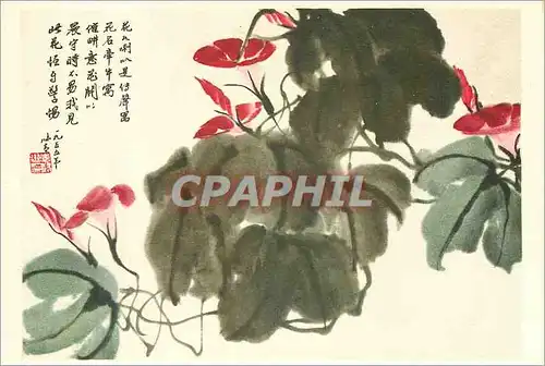 Cartes postales moderne China Volubilis