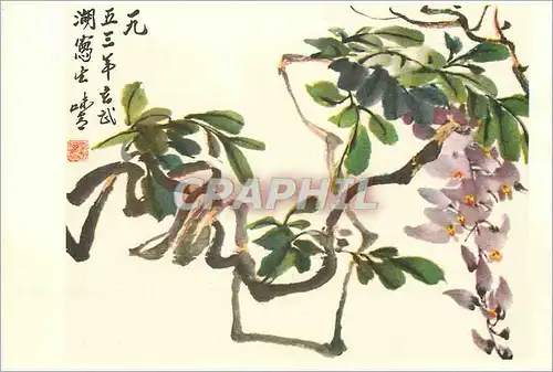 Cartes postales moderne China Glycine
