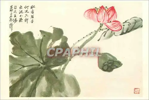 Moderne Karte China Lotus
