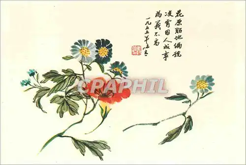 Moderne Karte China Capucine et Chrysanthemes sauvages