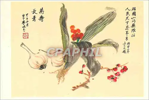 Cartes postales moderne China Rhodea