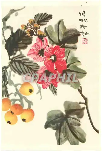 Moderne Karte China Bibasses et Fleurs d'hibiscus