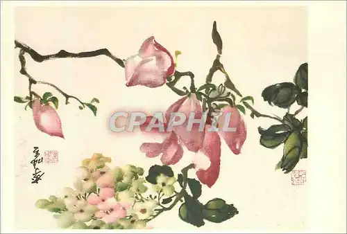 Cartes postales moderne China Magnolia