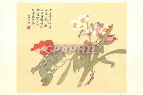 Cartes postales moderne China Camelia et narcisses