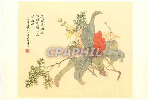 Cartes postales moderne China Rhodea