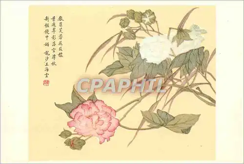 Cartes postales moderne China Hibiscus