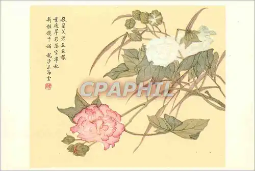 Moderne Karte China Hibiscus