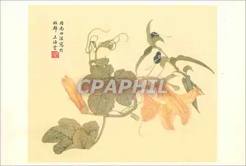 Moderne Karte China Fleurs de potiron