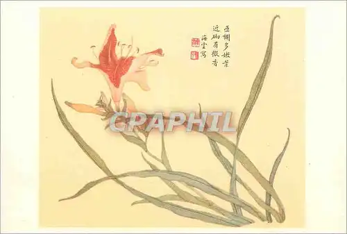 Cartes postales moderne China Hemerocalic
